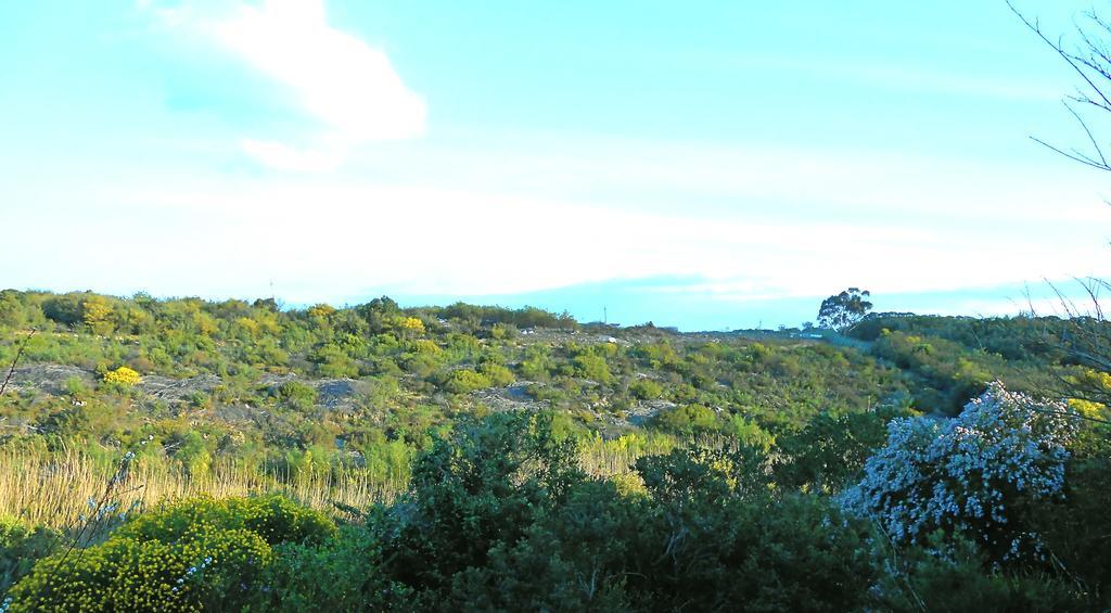 Onrus River Cottage Hermanus Eksteriør bilde